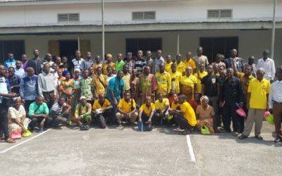 Cocoa farmers accuse gov’t of neglect over destruction of cocoa farms